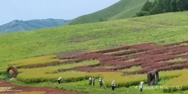阿尔山林达酒店