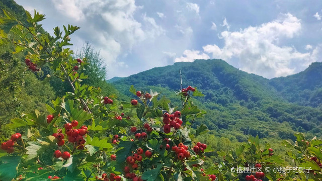 化皮峪村