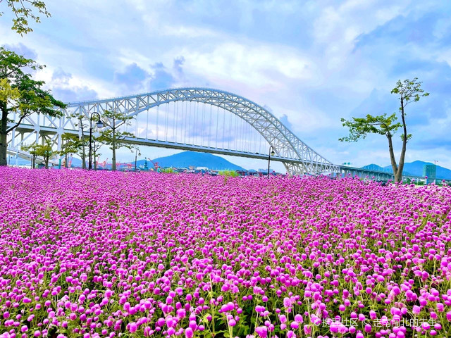 花海长廊三号驿站