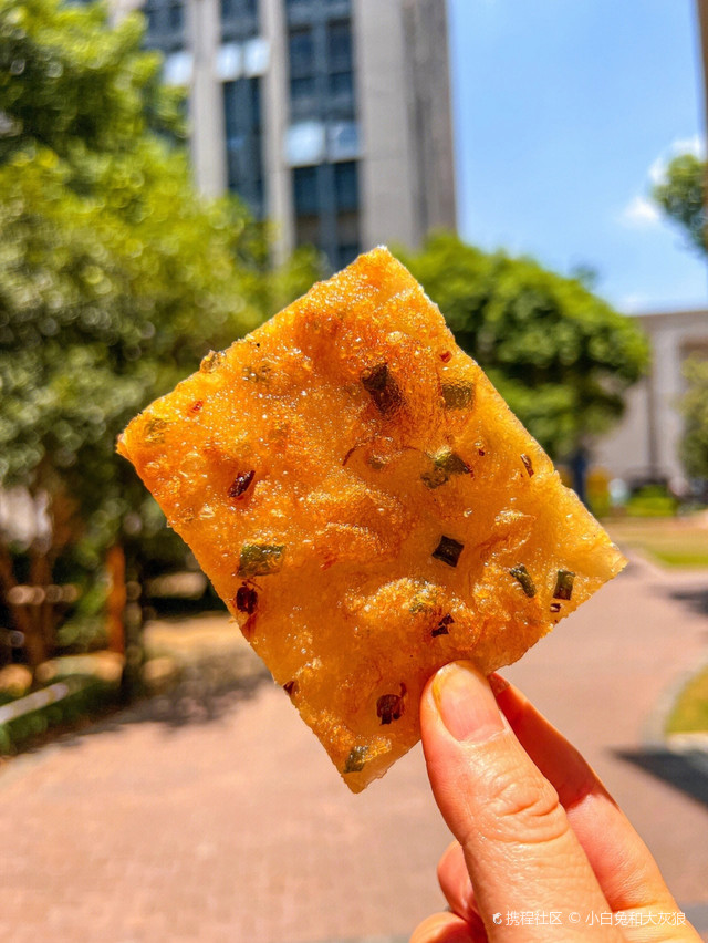 广西地球物理勘察院