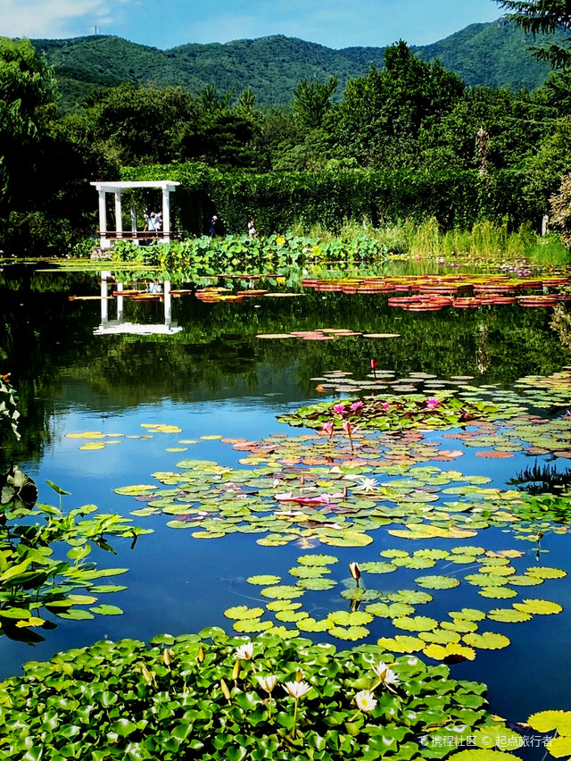 水生植物园