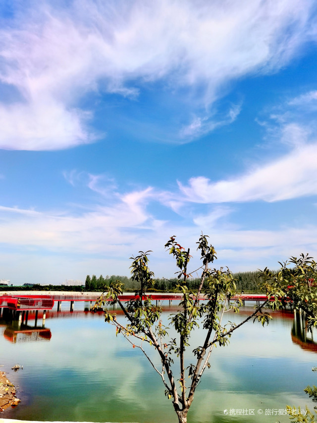 高阳龙湖公园