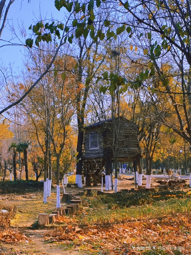 隅园