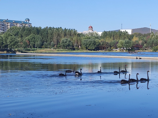 市政广场人工湖