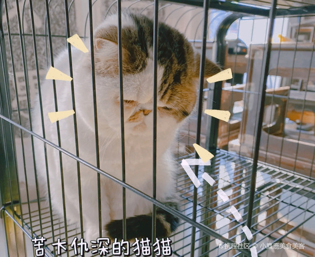 一束光书店