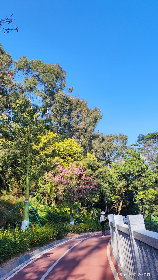 莲花湖绿道