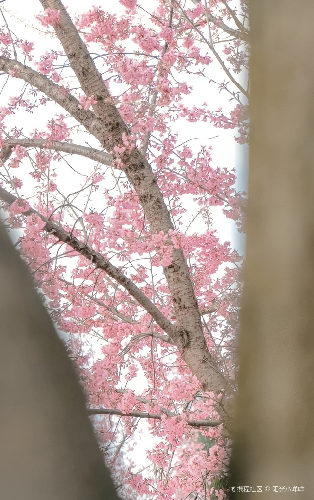 玉山城