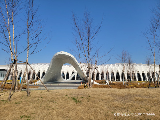 鄱阳湖吴城候鸟小镇景区