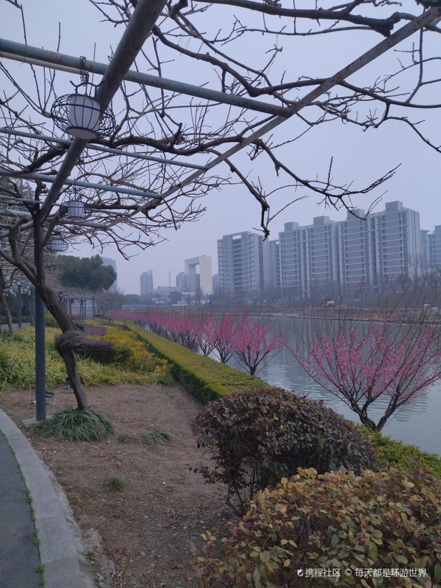 上海大学(嘉定校区)体育场