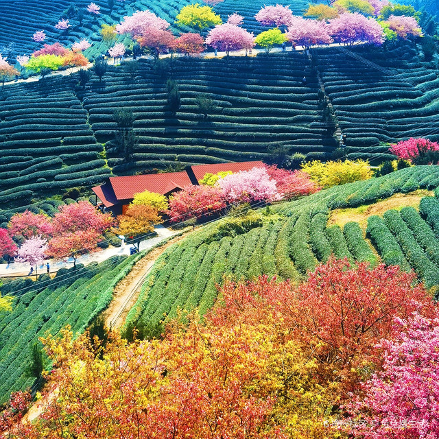 永福镇