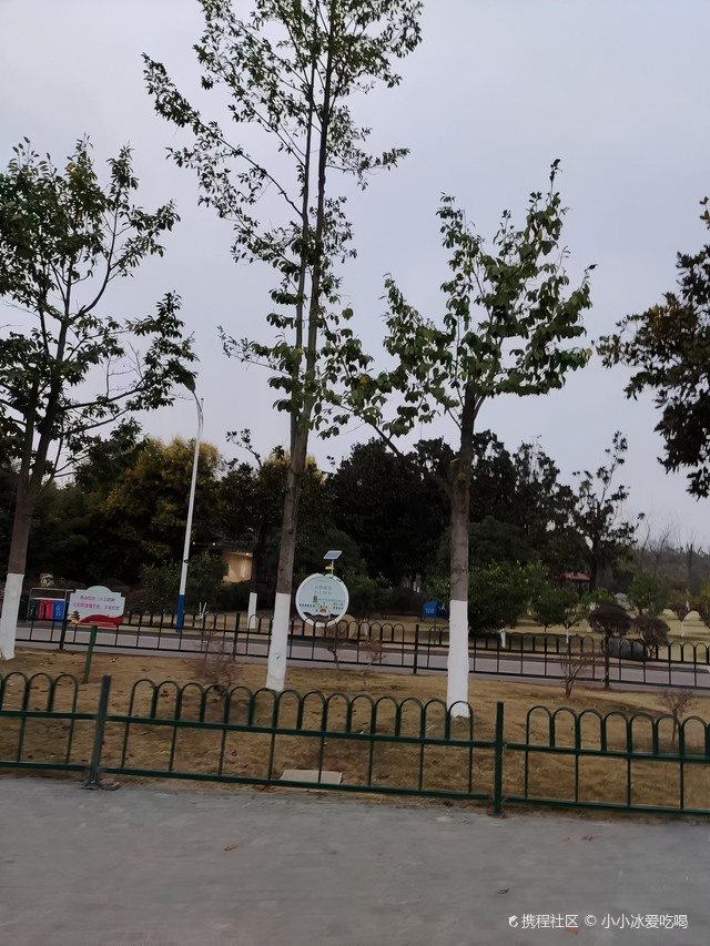 湿地公园