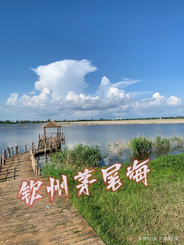 茅尾海
