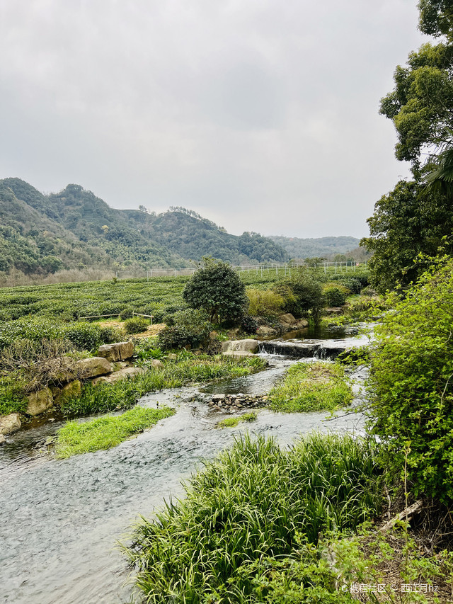 中国茶叶博物馆-双峰馆区