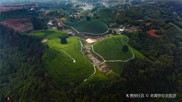 梅岭茶山公园