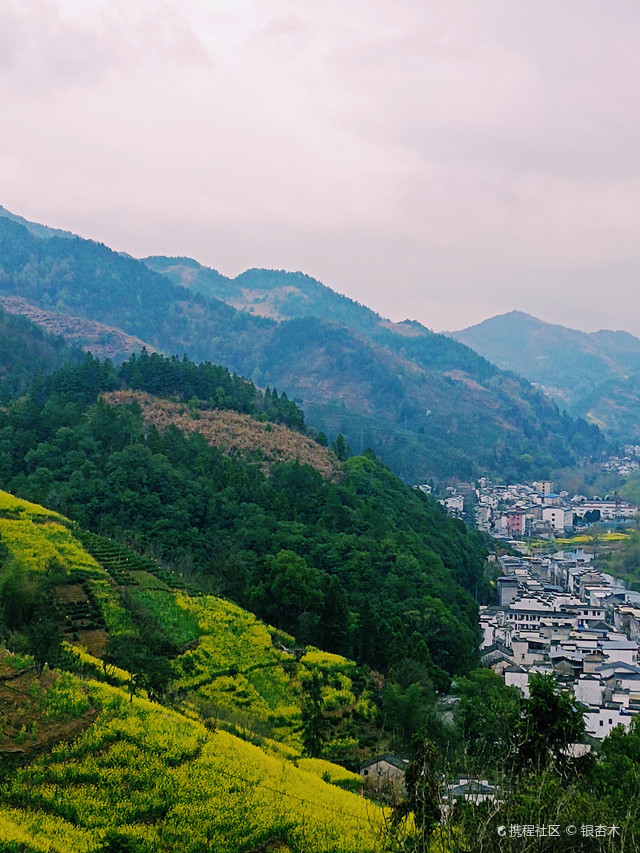 坡山村