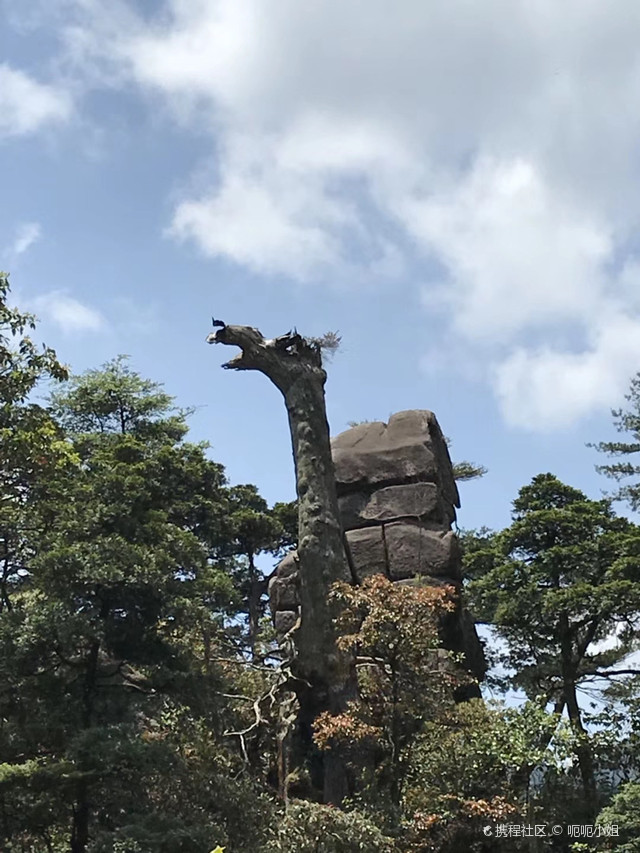 宜章红色森林公园