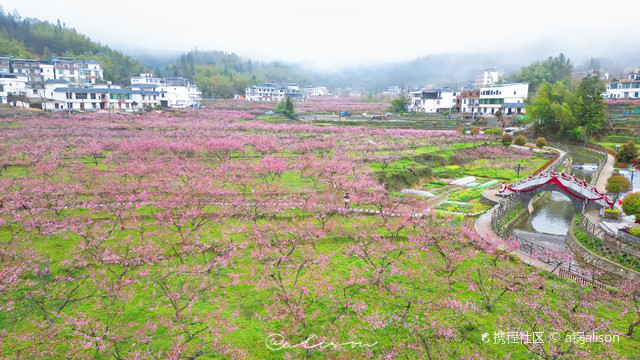 青竹村
