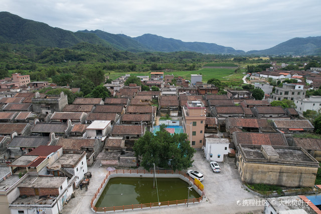 大洲村