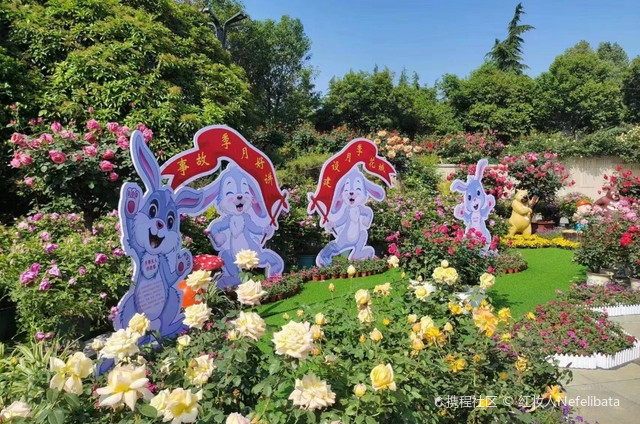 月季花园