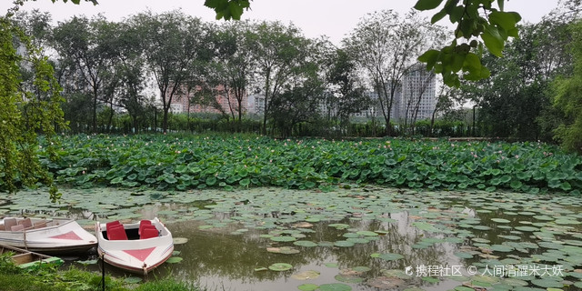 衡水宾馆(车站分店)
