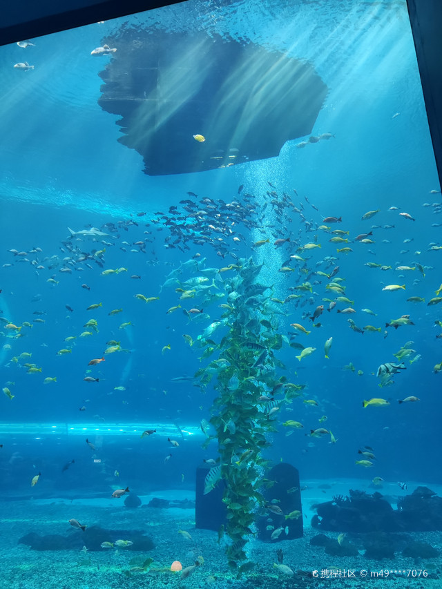 陵水海洋世界美人鱼潜水中心