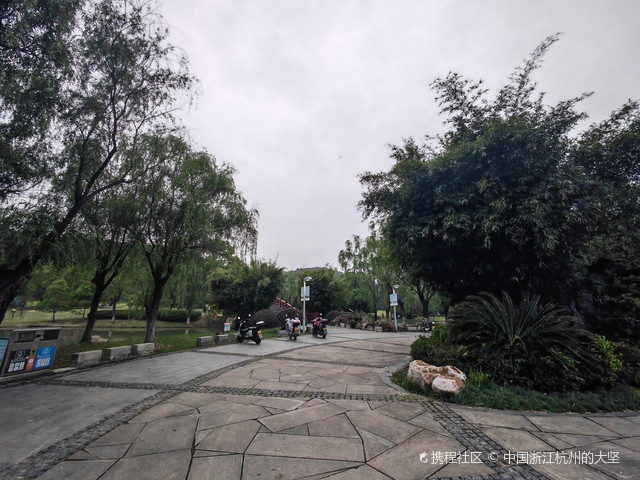 龙山公园