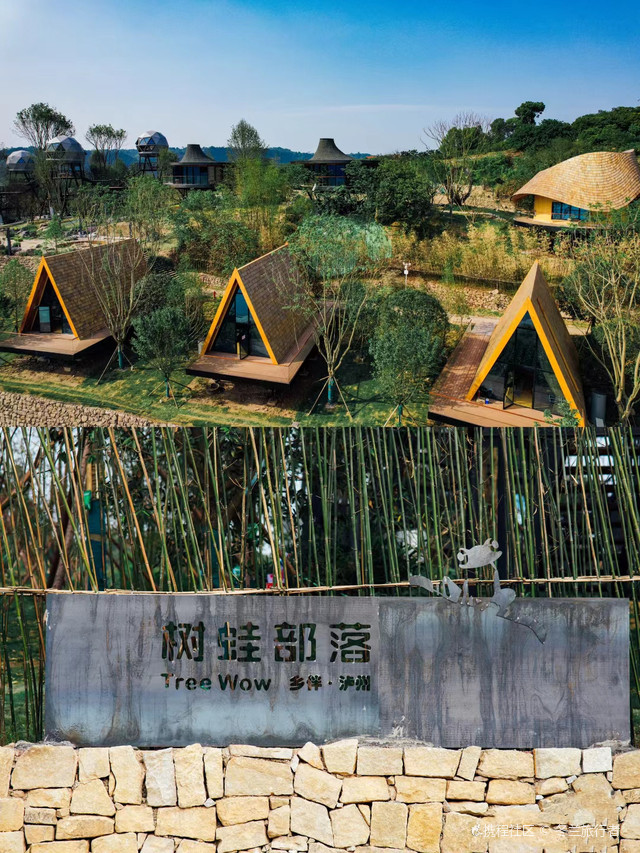树蛙部落(泸州店)