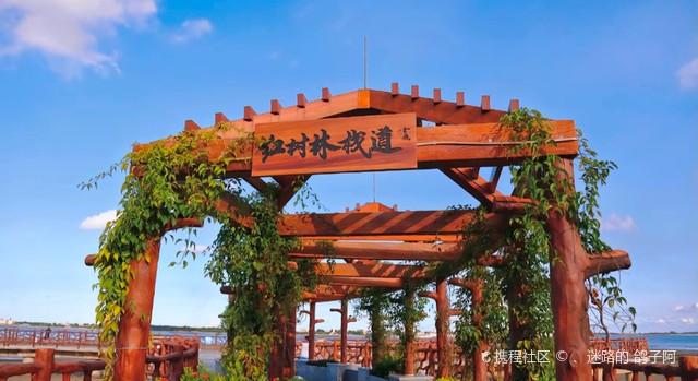 红树林栈道