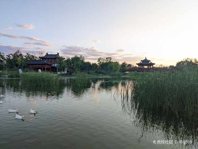 容东新区