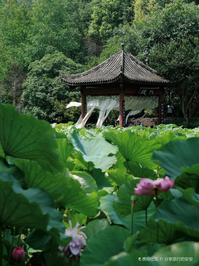 华严寺