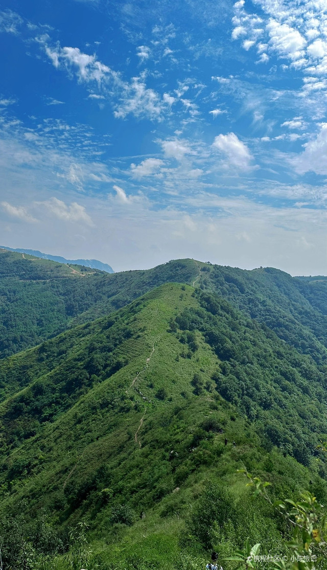 偃师黄金大草园