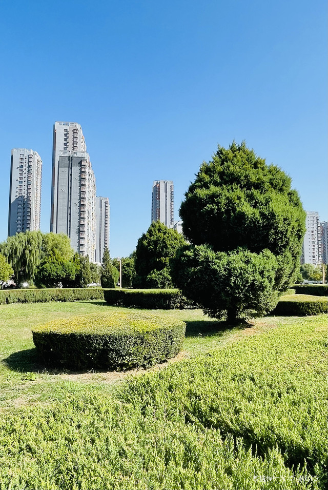 枫露公园
