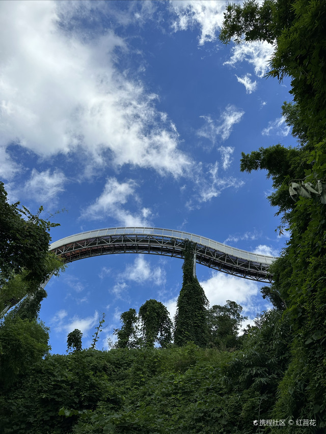 龙泉山城市森林公园