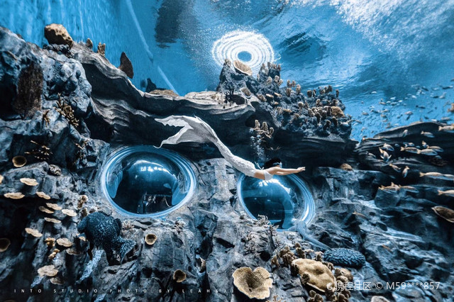 陵水海洋世界美人鱼潜水中心