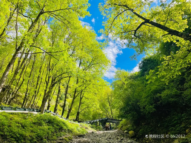 婆陵甲萨遗址公园