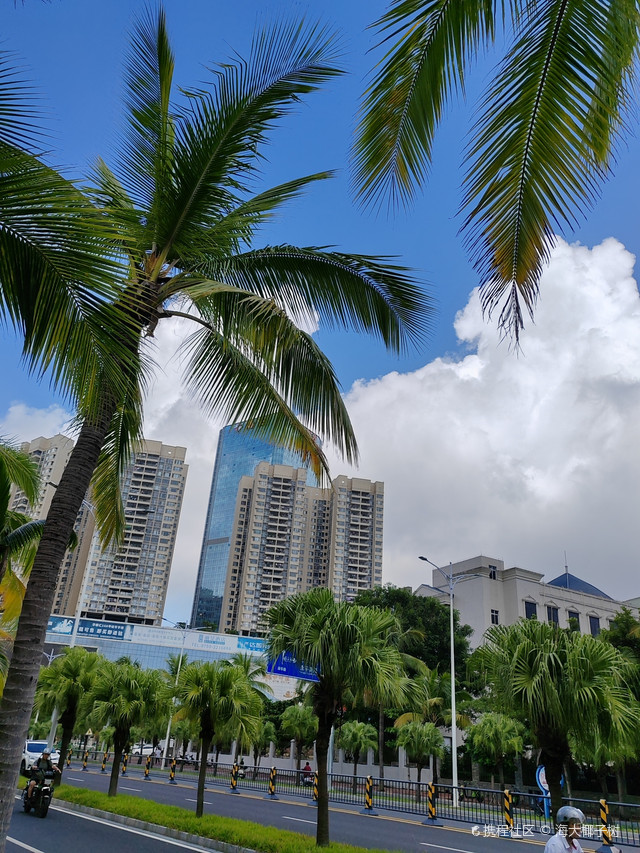 绿塘河国家城市湿地公园