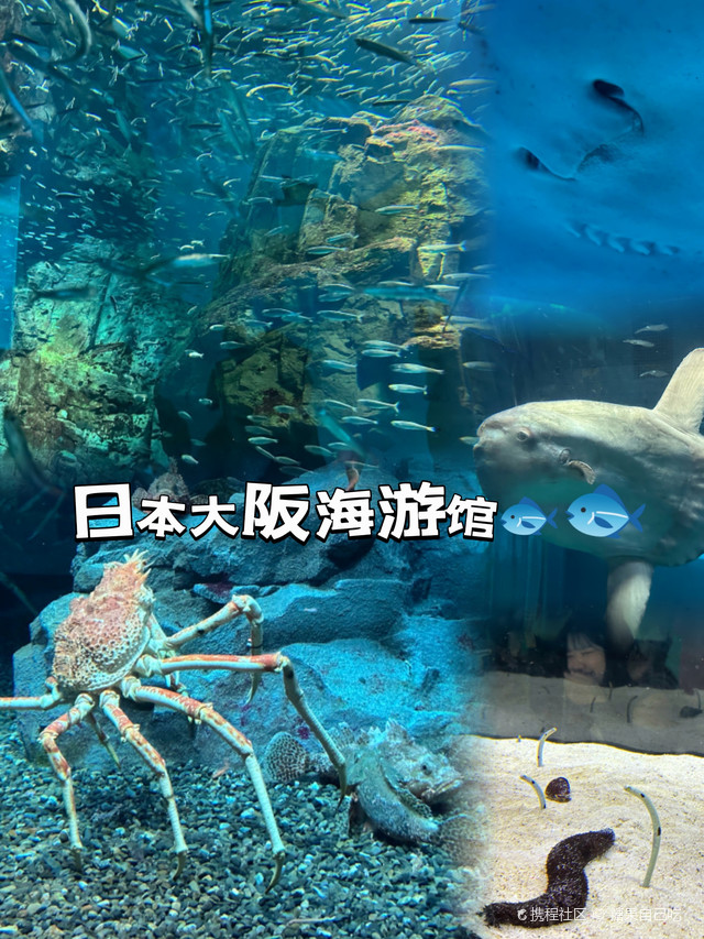深海探险