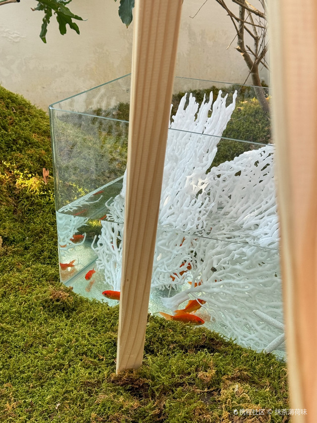 WHO花·花植美学空间