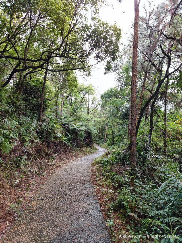 城北公园