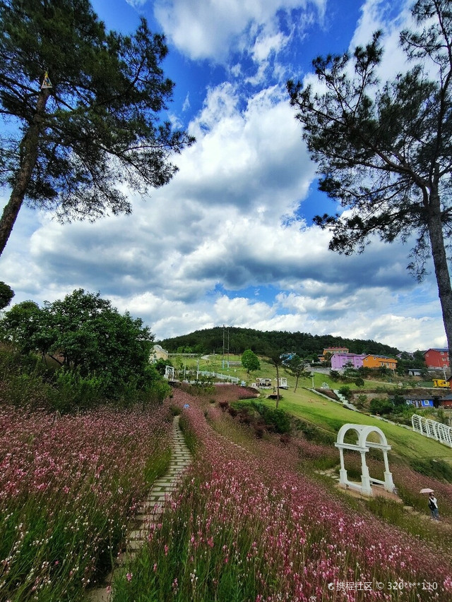 半山星空民宿