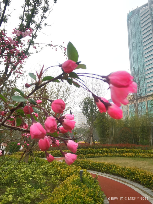 徐家汇体育场馆