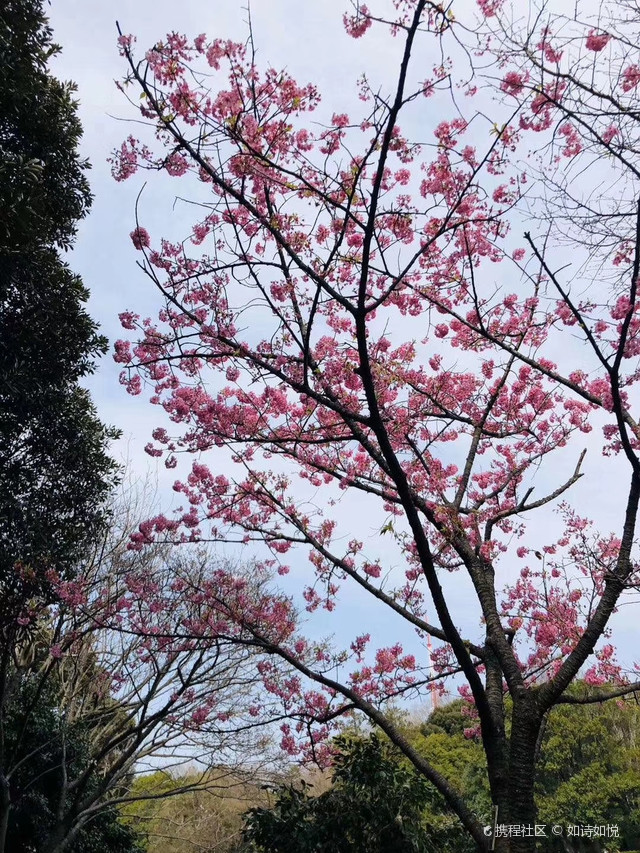 盘江水库