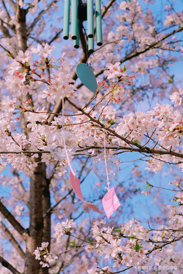 城灵寺