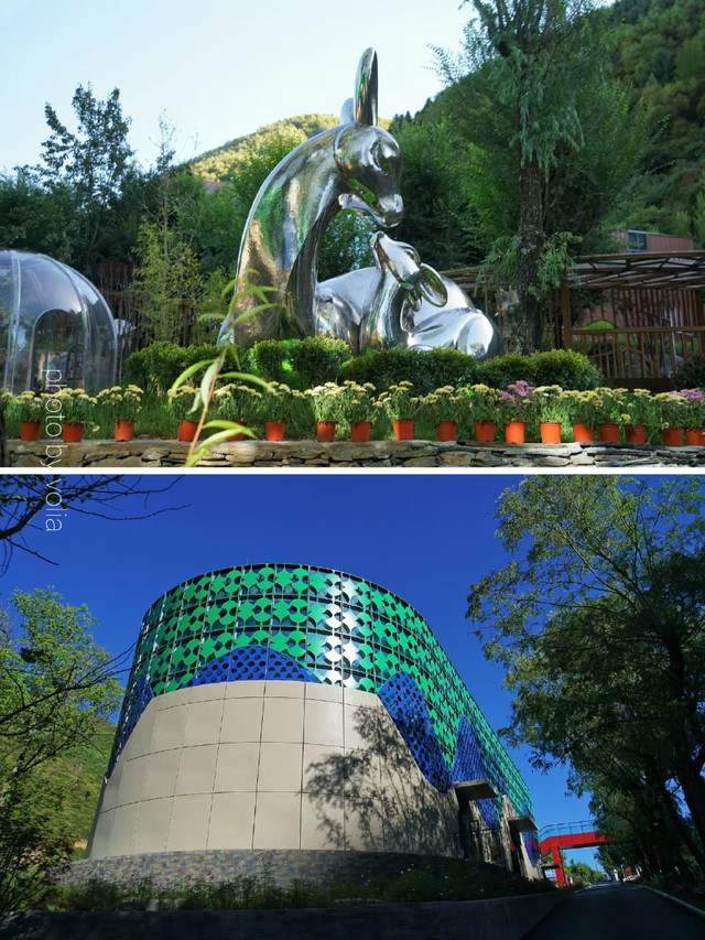中国林麝科技展览馆