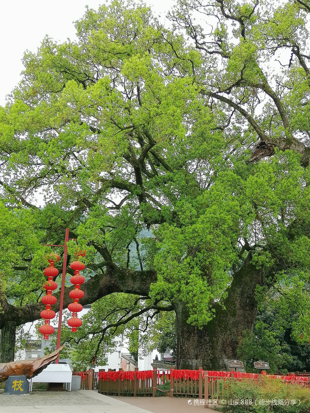 漳潭村