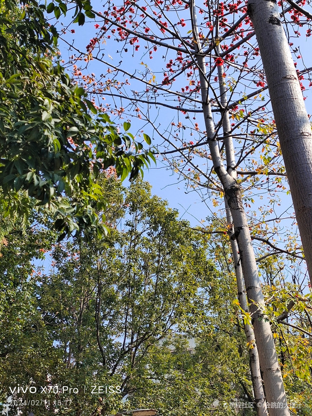 米易易园公园