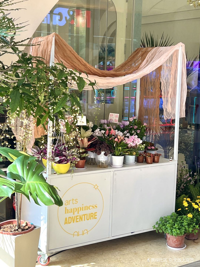 珠海斗门区井岸镇花非花花店(裕凯长江筛网有限公司店)