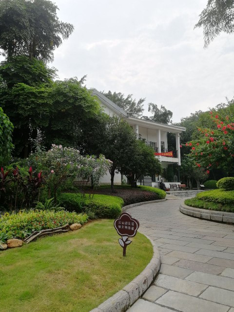 莲花公园
