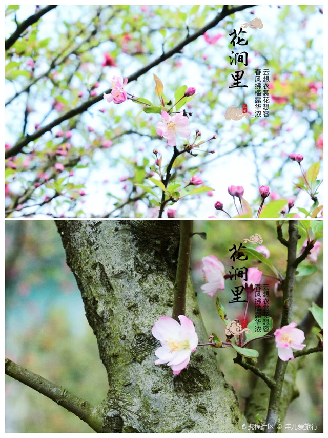 花涧里