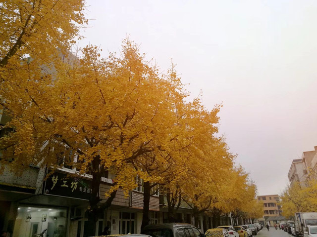 大洞岙村